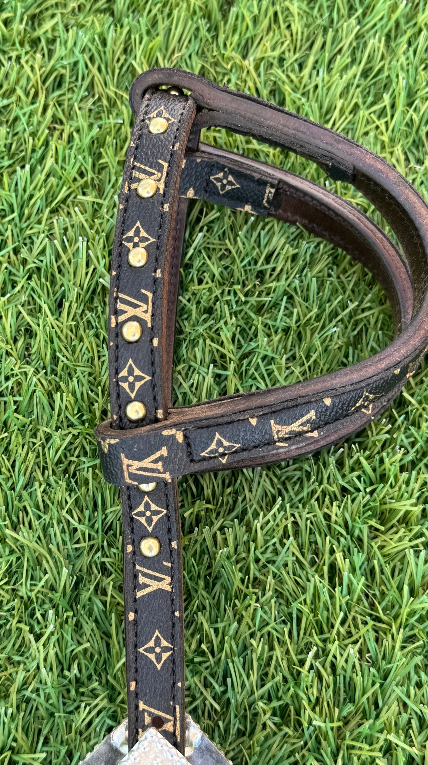 Fairytail Leather Co Black Designer Headstall