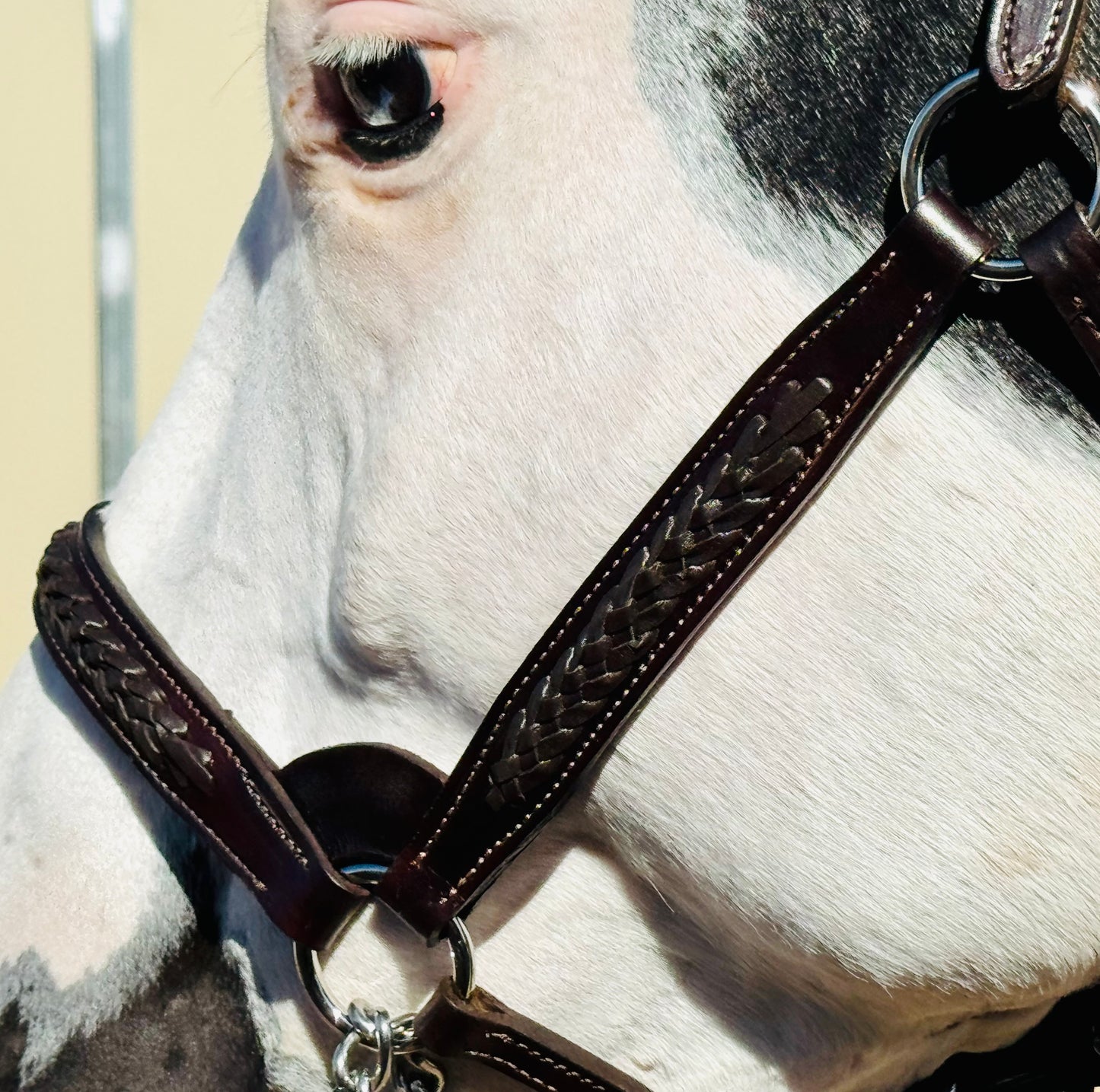 Fairytail Leather Havana Braided English Show Halter - SPECIAL ORDER, ALLOW 4 WEEKS