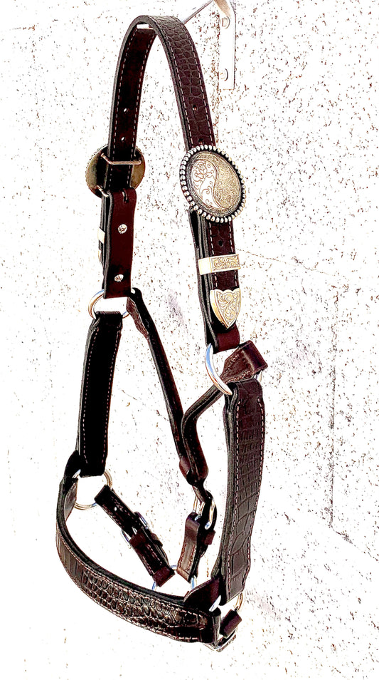 Brown 2 YO/Cob Size Halter with Round Yin Yang Silver Overlay Buckles