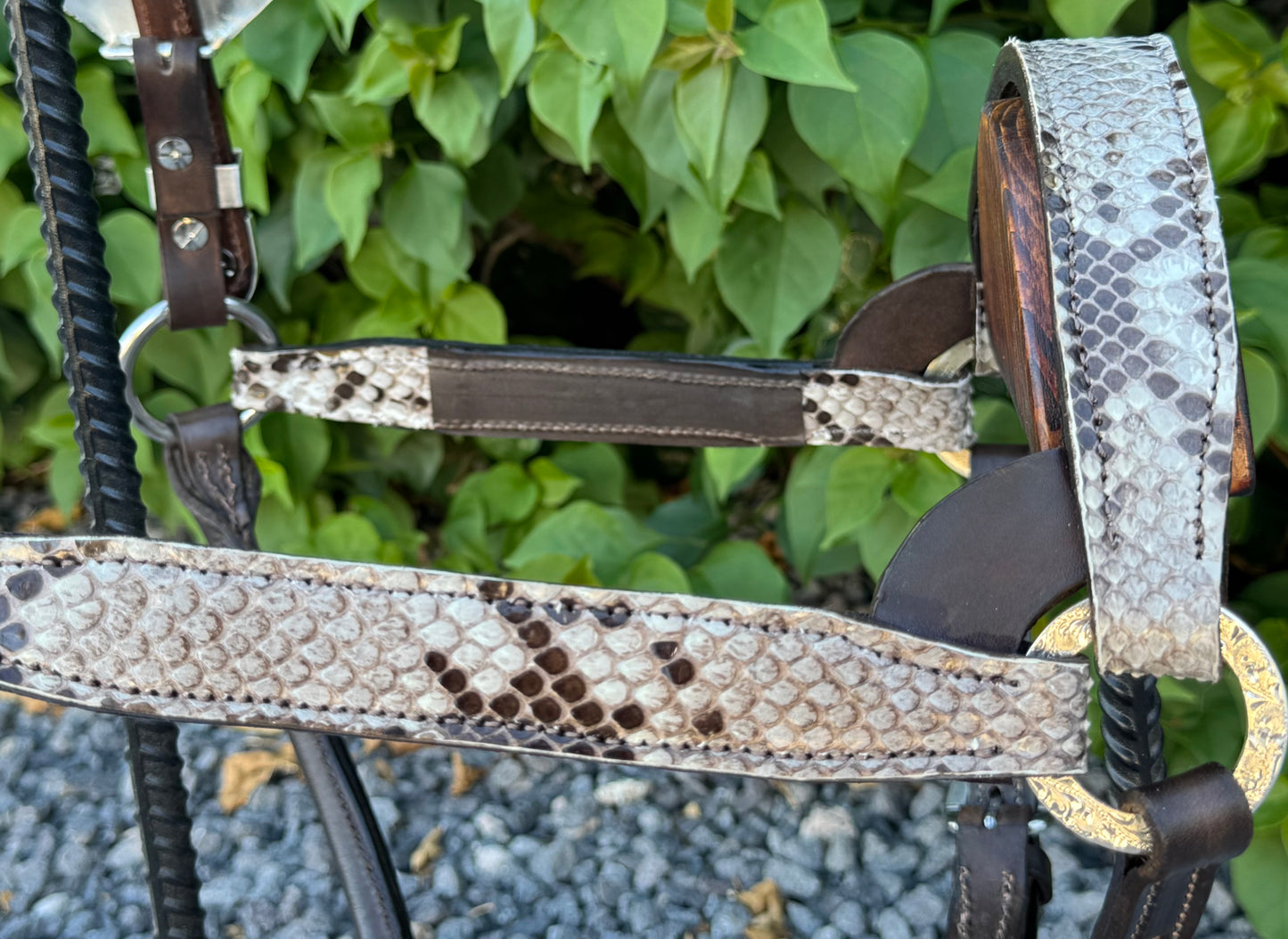 Fairytail Leather Co Python Halter