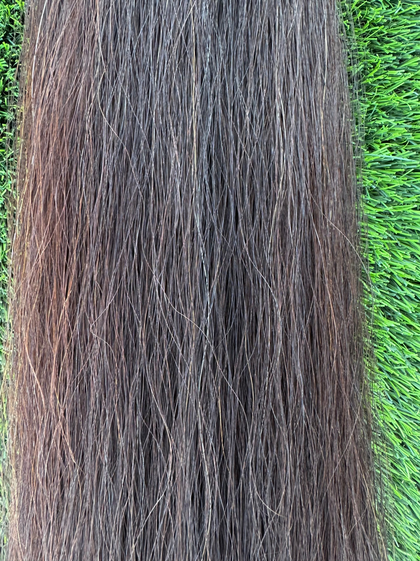 Black Brown Tail Extension, 1.5 lbs, 36”, Weight Setup