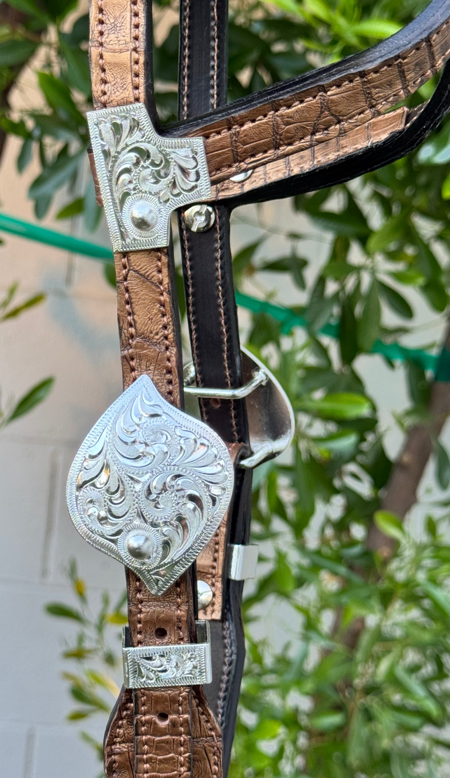 Fairytail Leather Gold Caiman Headstall