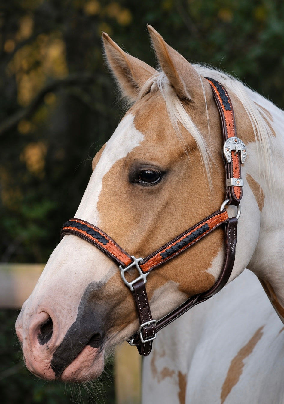 Fairytail Leather Co Ranch Halter