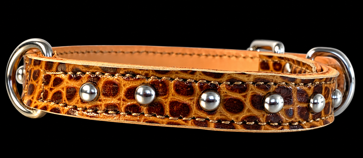 Fairytail Leather Co Whiskey Croc Dog Collar, 11.5”-14.5”