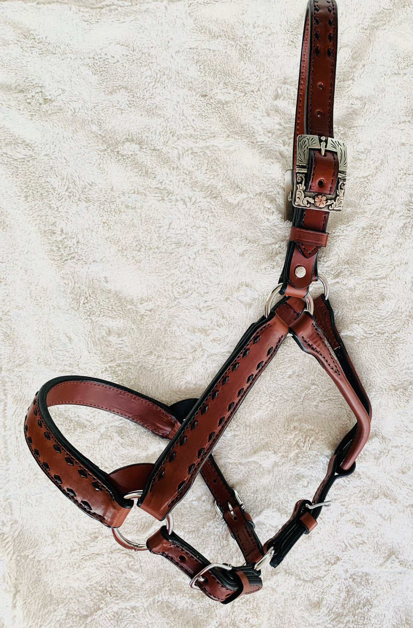 Chestnut and Black Buckstitch Halter