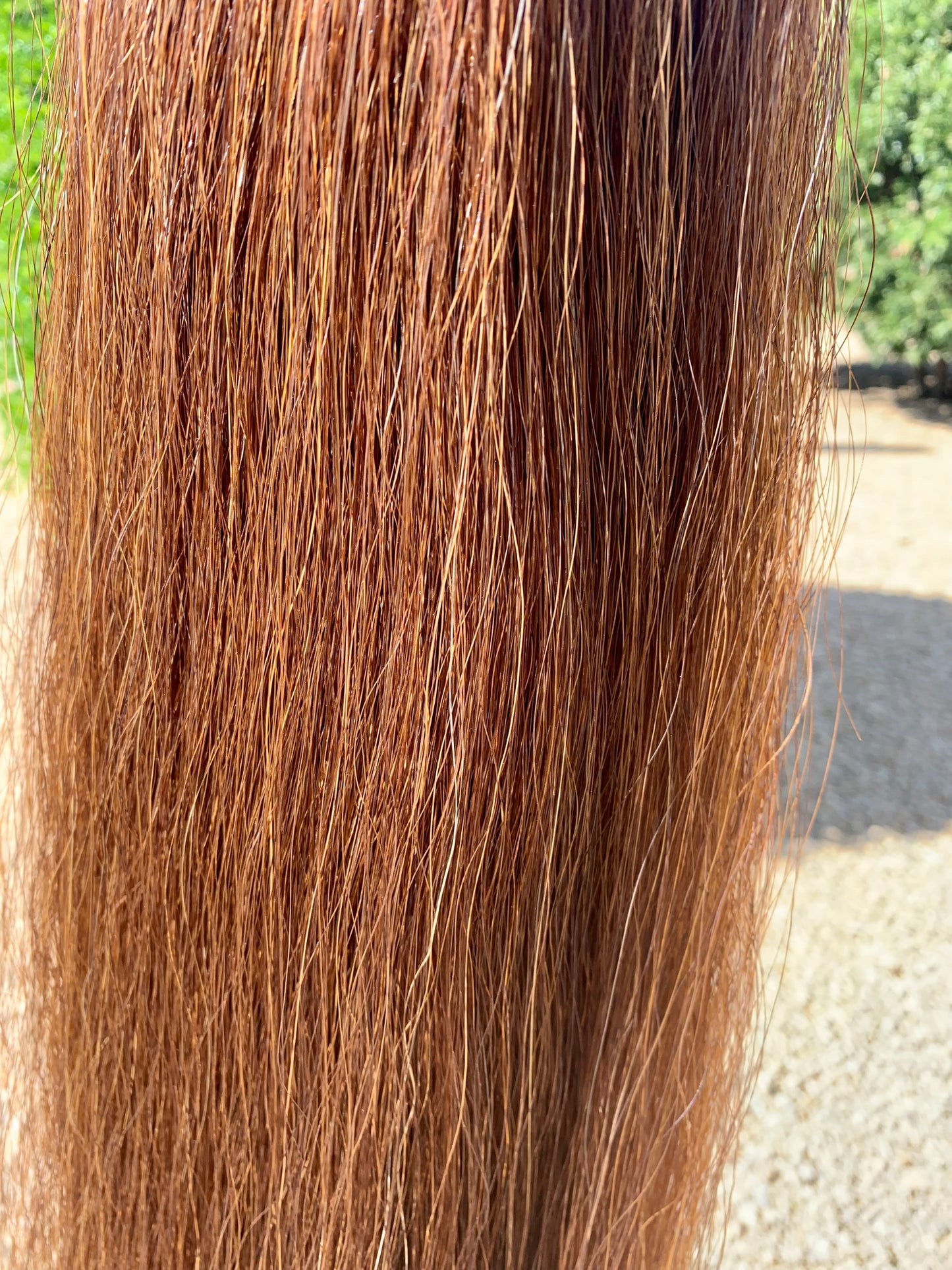 Sorrel Show Tail Extension, 32”, 2 Lb.