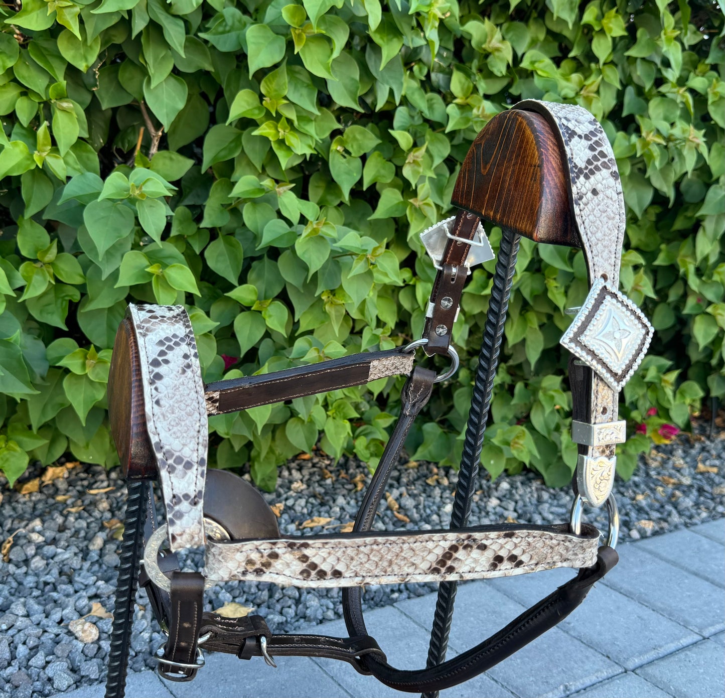 Fairytail Leather Co Python Halter
