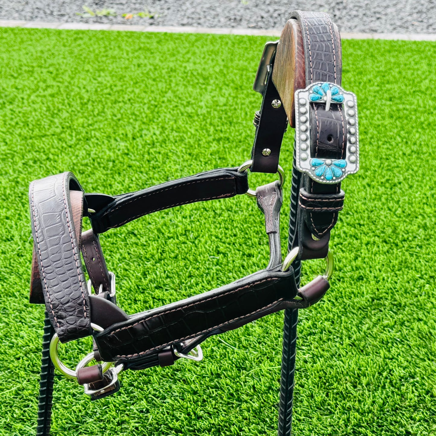 Brown Yearling Size Crocodile Embossed Halter