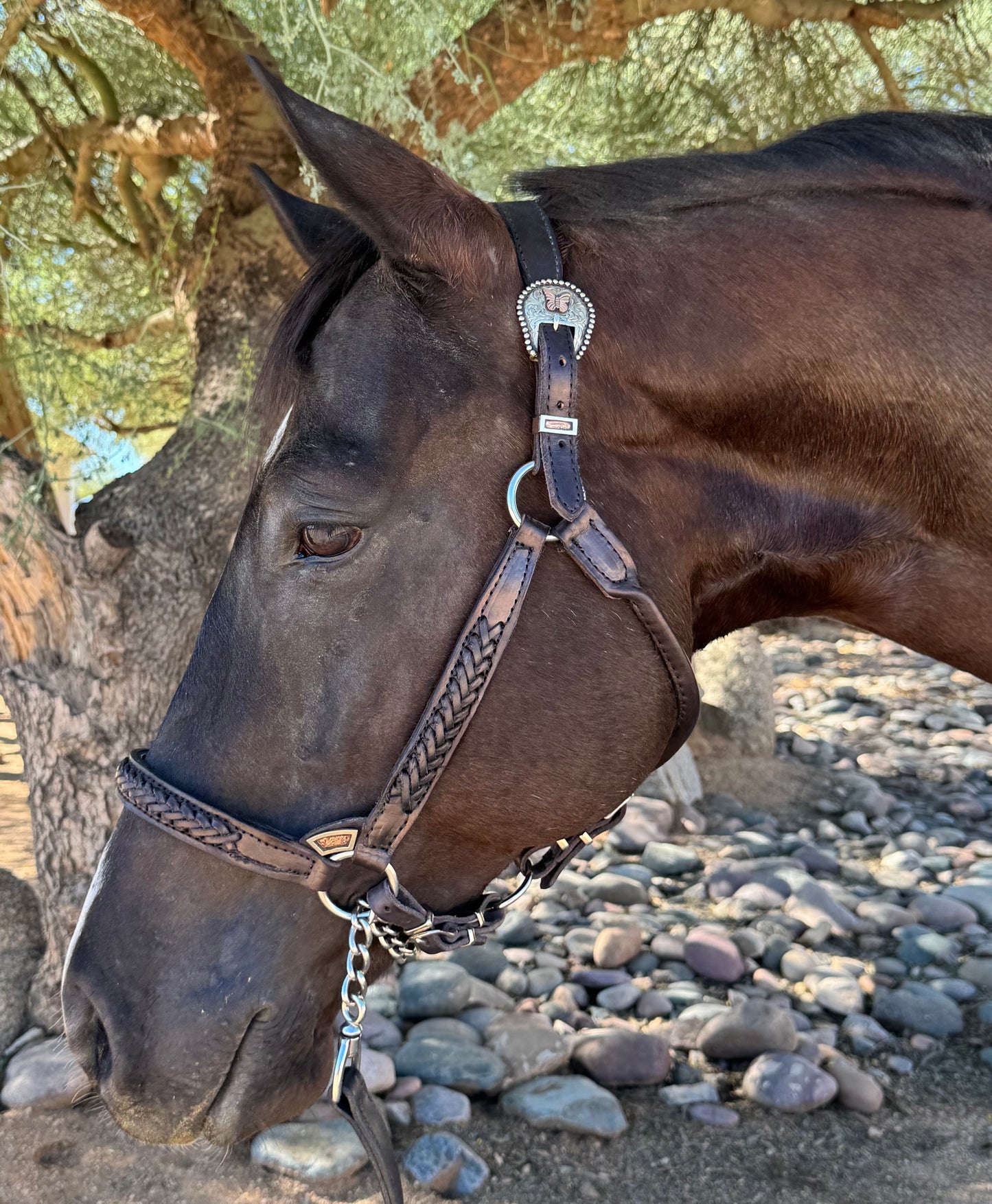 Black Braided Congress Cut Halter