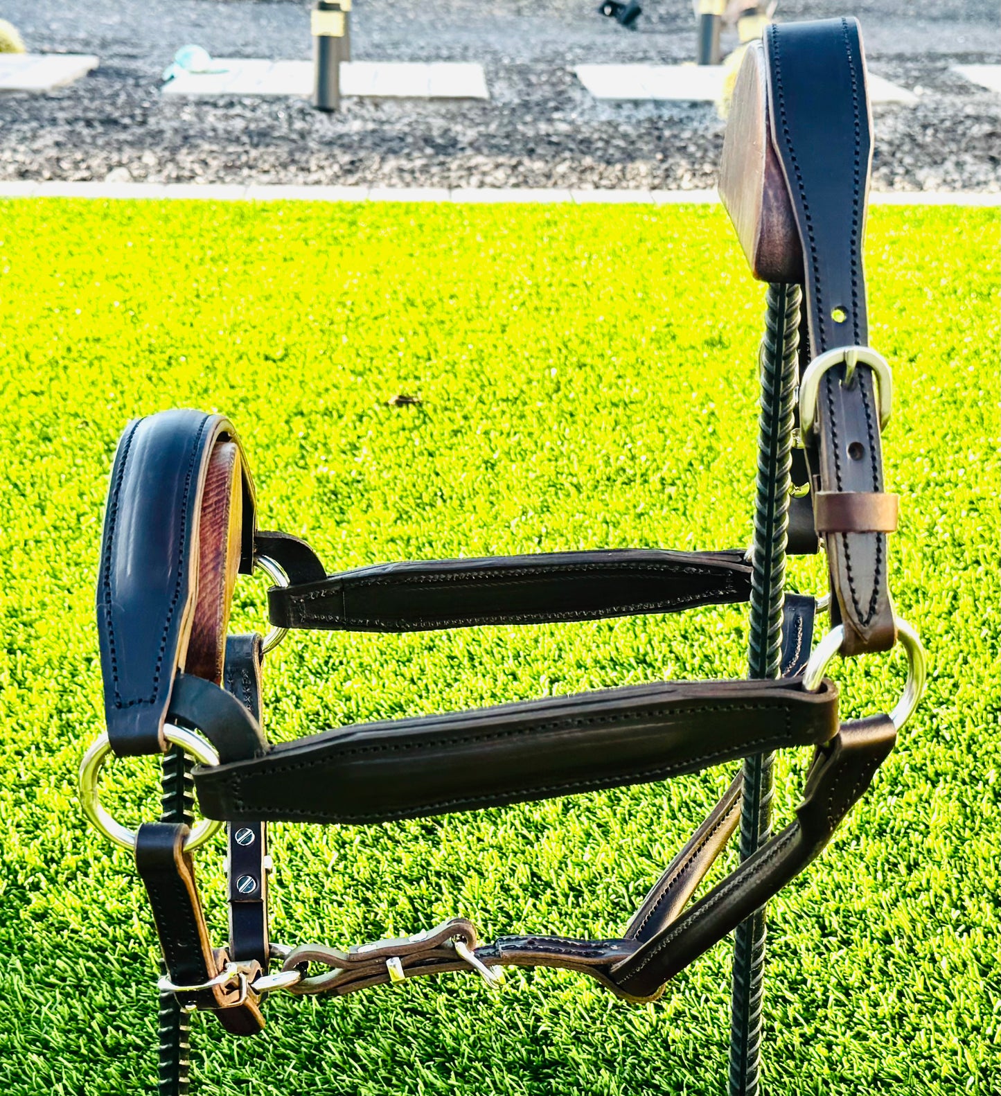 Havana Horse Size Padded English Show Halter