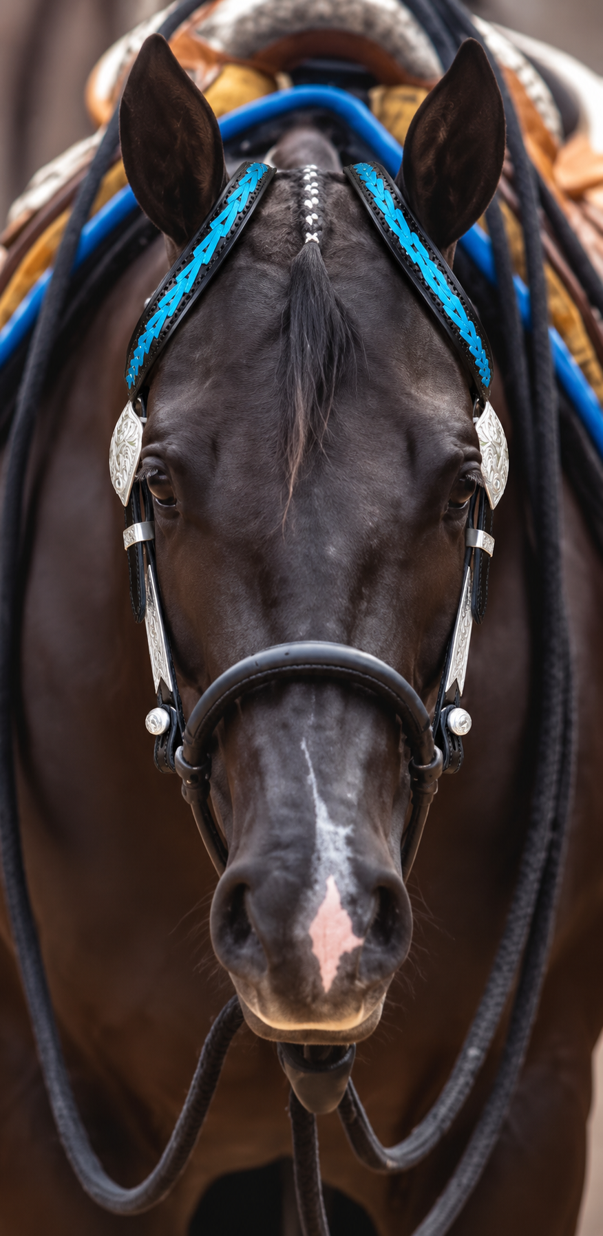 Fairytail Leather Black Headstall