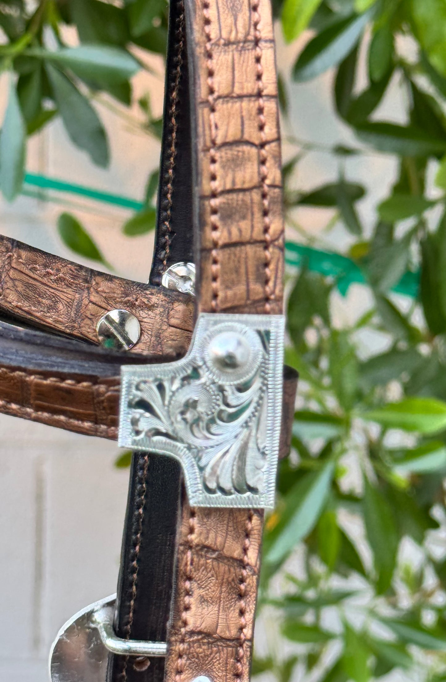 Fairytail Leather Gold Caiman Headstall