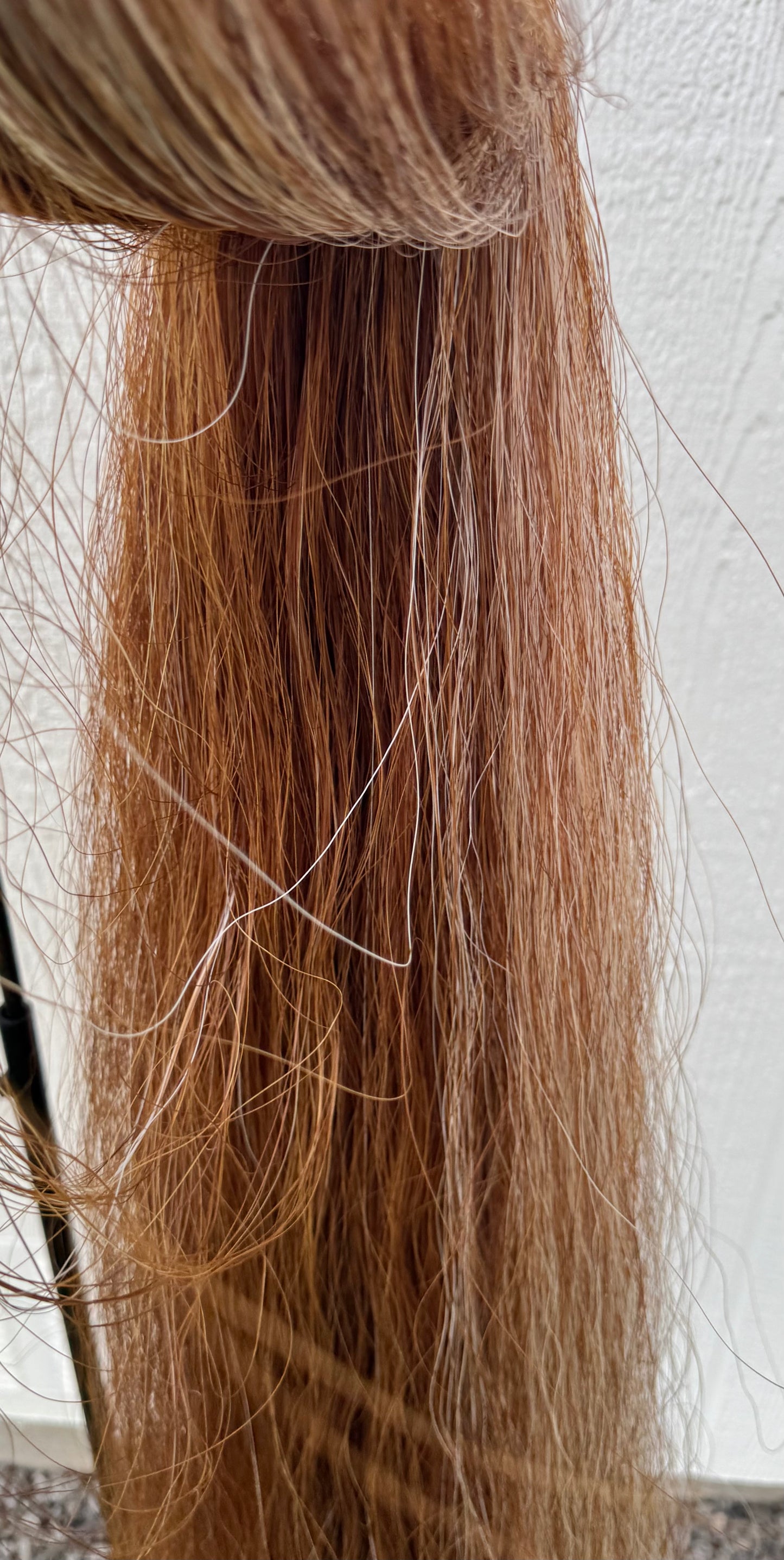 Medium Sorrel with Small Amount of Flaxen, 37”, 2.25 lbs, Weight Setup