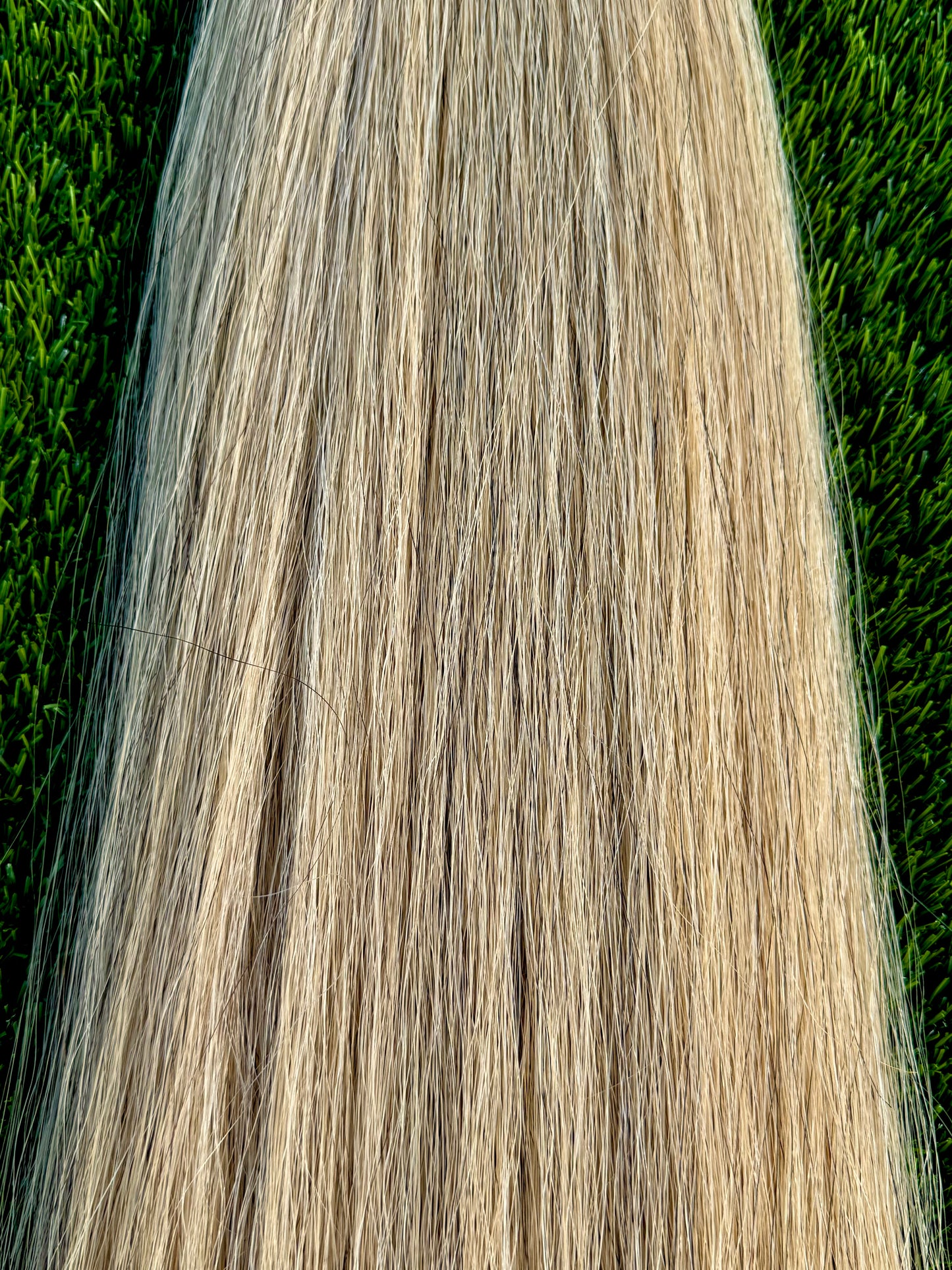 Extra Light Gray with Golden Tones Show Tail Extension, 35”, 1.5 Lb, Weight Setup