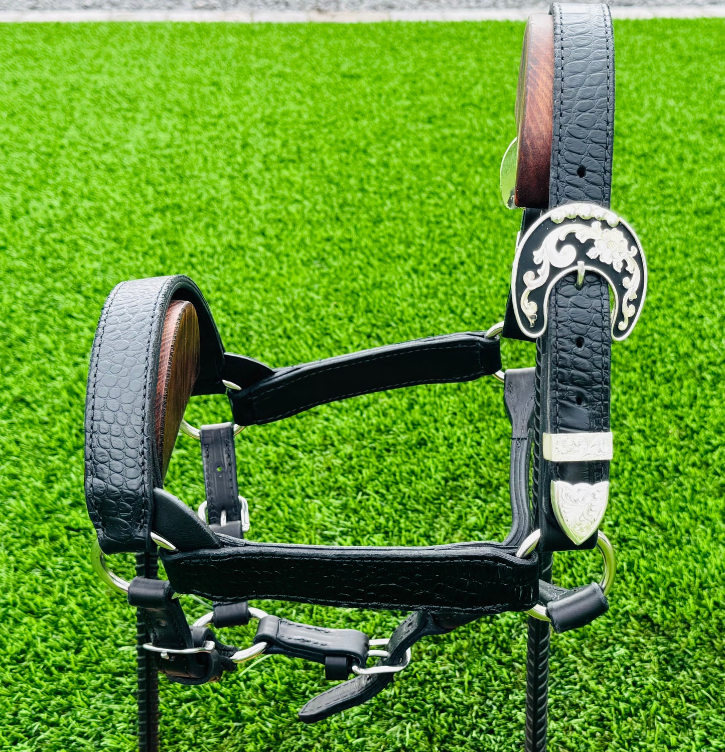 Black Cob/2YO Size Crocodile Embossed Halter