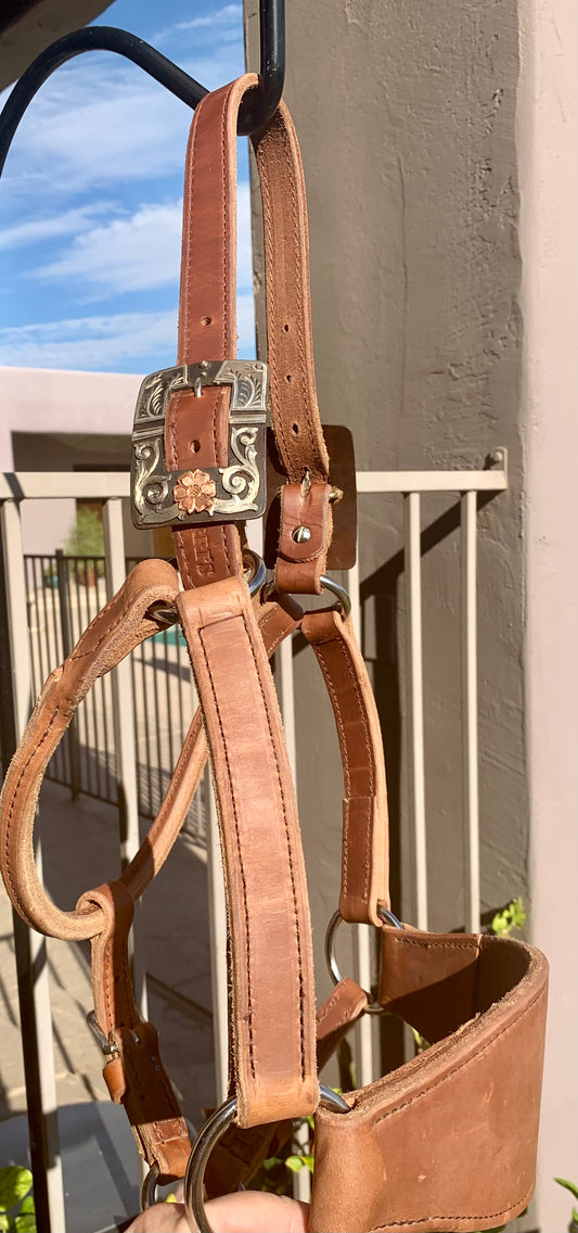 Halter Ranch Train Halters, Leads, Longe Lines
