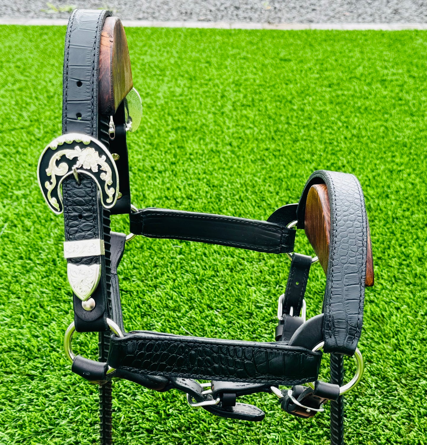 Black Cob/2YO Size Crocodile Embossed Halter