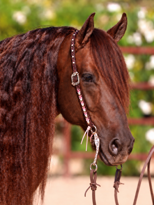 Fairytail Leather Co Pink Kangaroo Lace Headstall