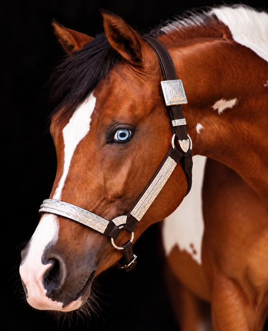 Fairytail Leather Co Brown Halter with Full Silver