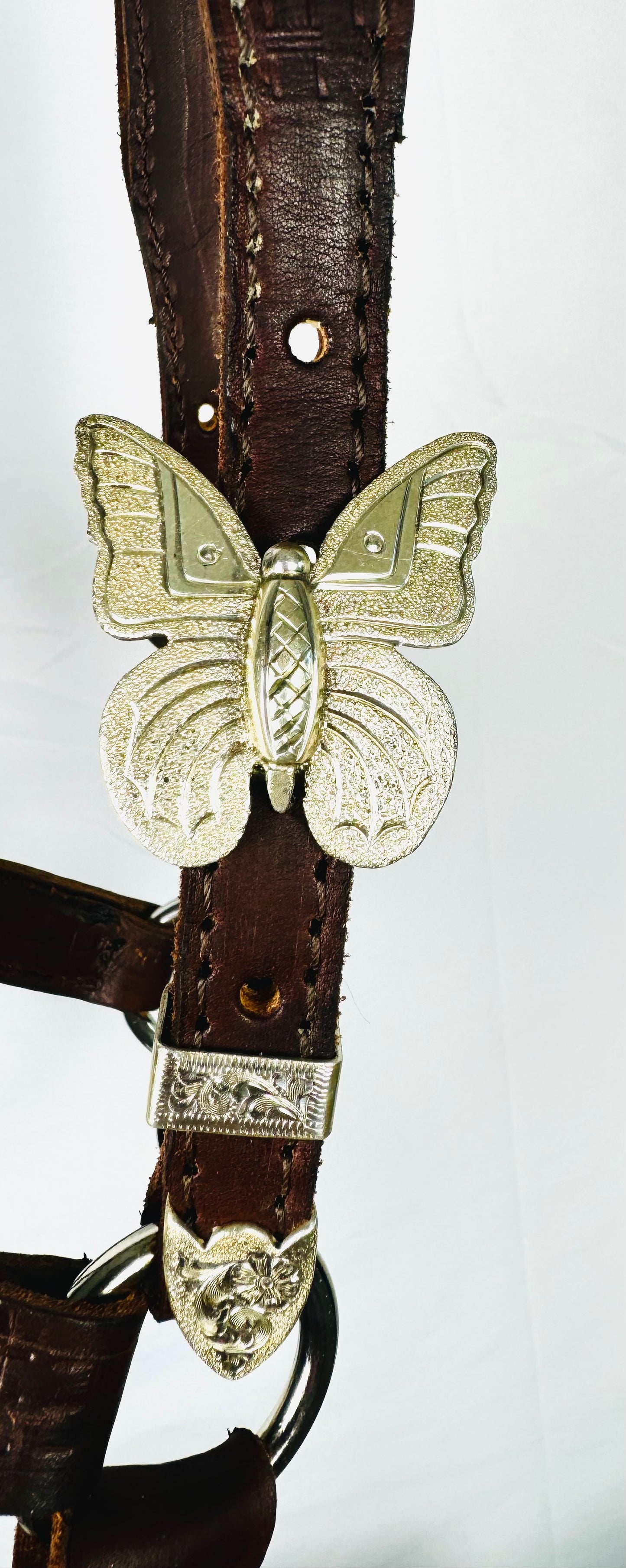 Brown Congress Cut Halter with Custom Sterling Butterly Buckles