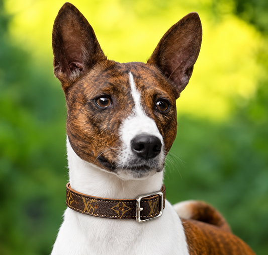 Fairytail Leather Co Brown and Tan Designer Dog Collar, 15.5”-18”