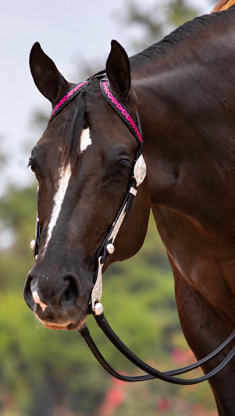 Black with Metallic Fuchsia Kangaroo Lace Ear Pieces