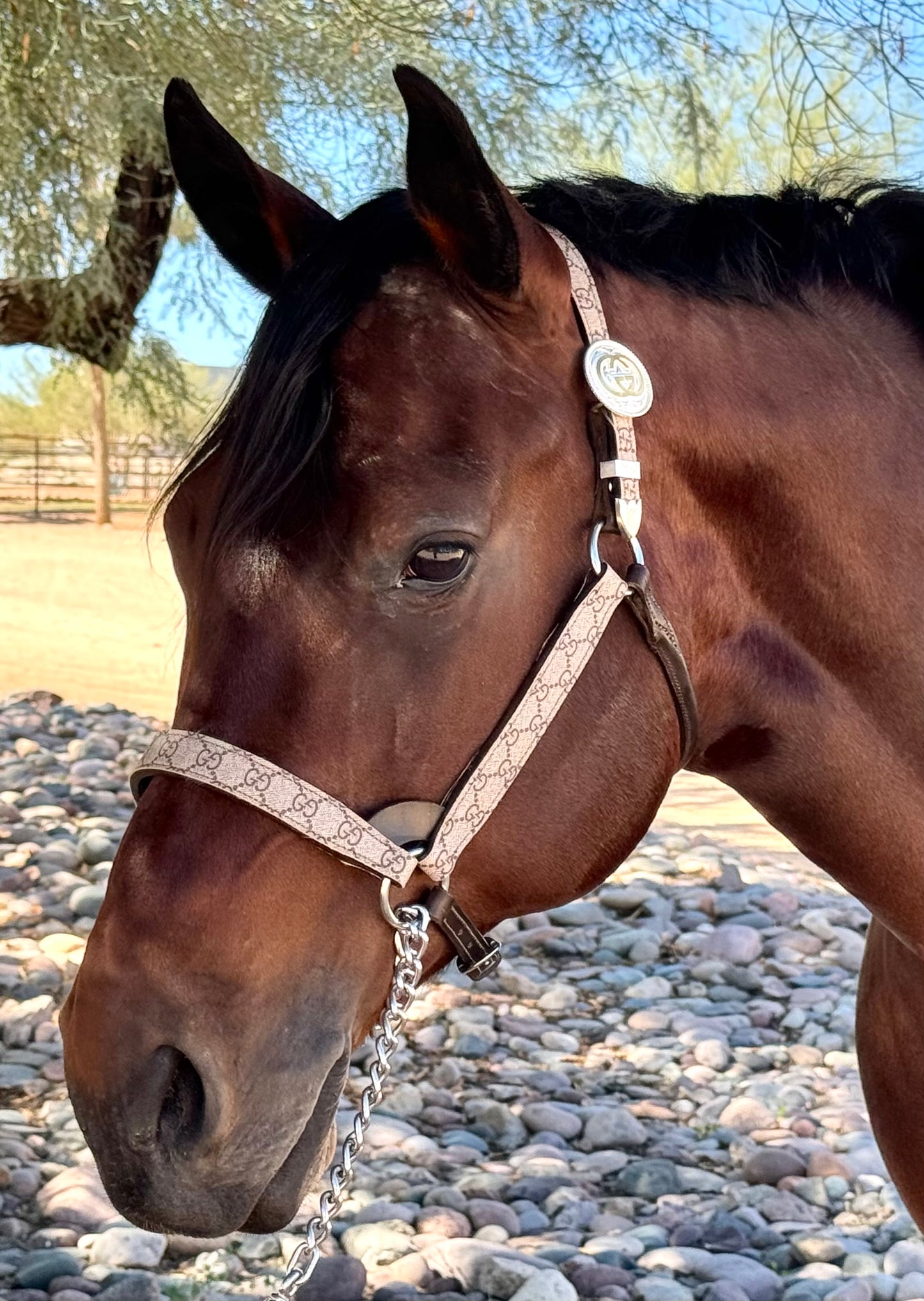 Fairytail Leather Co Brown Designer Halter