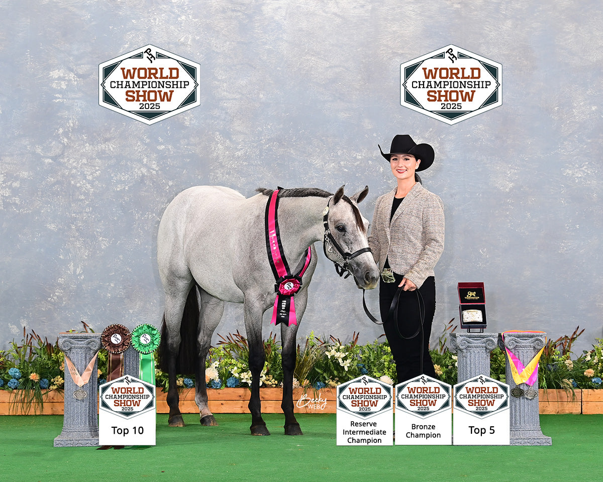 Fairytail Leather Used Yearling Black Python Halter