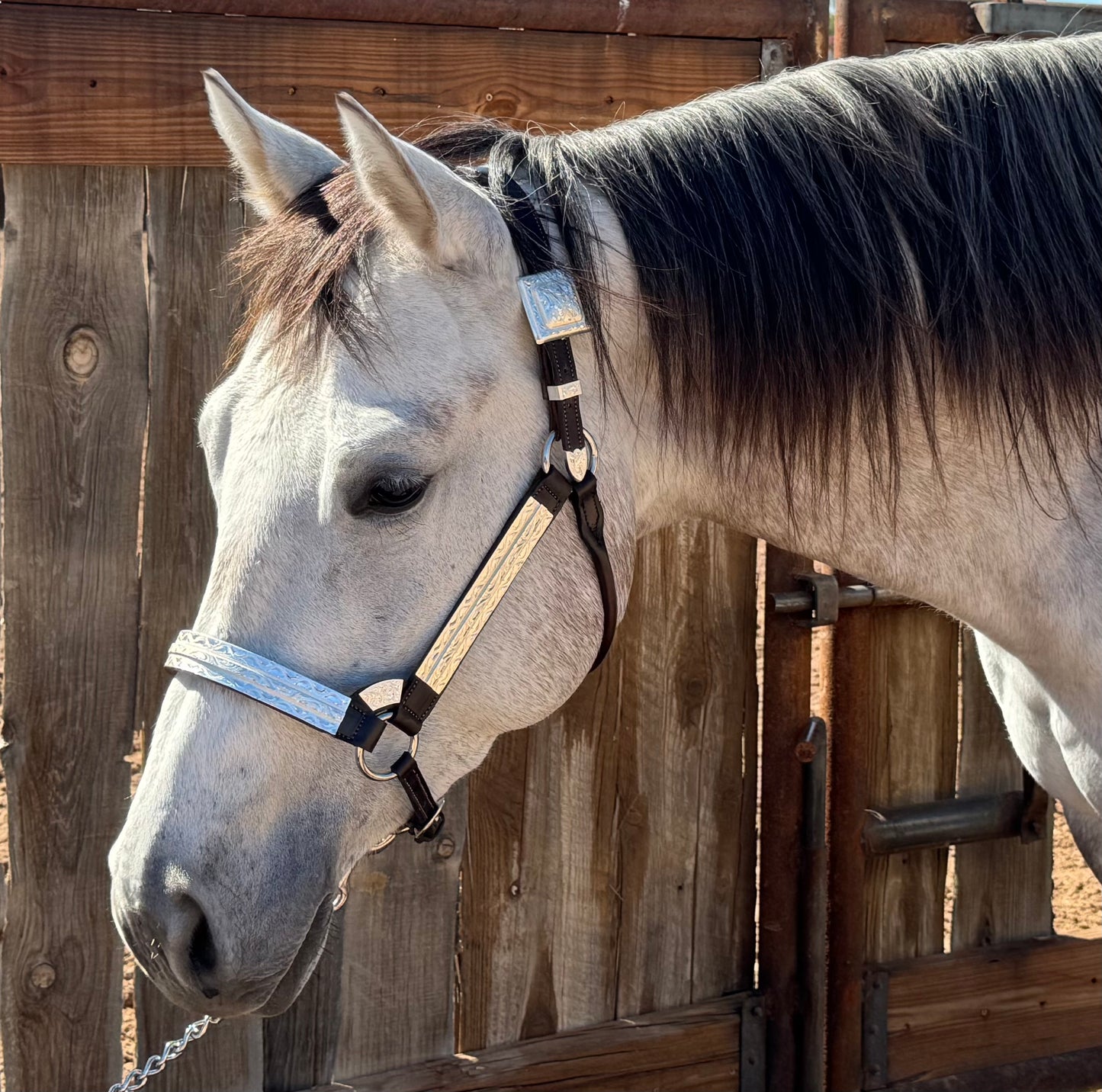 Fairytail Leather Co Brown Halter with Full Silver