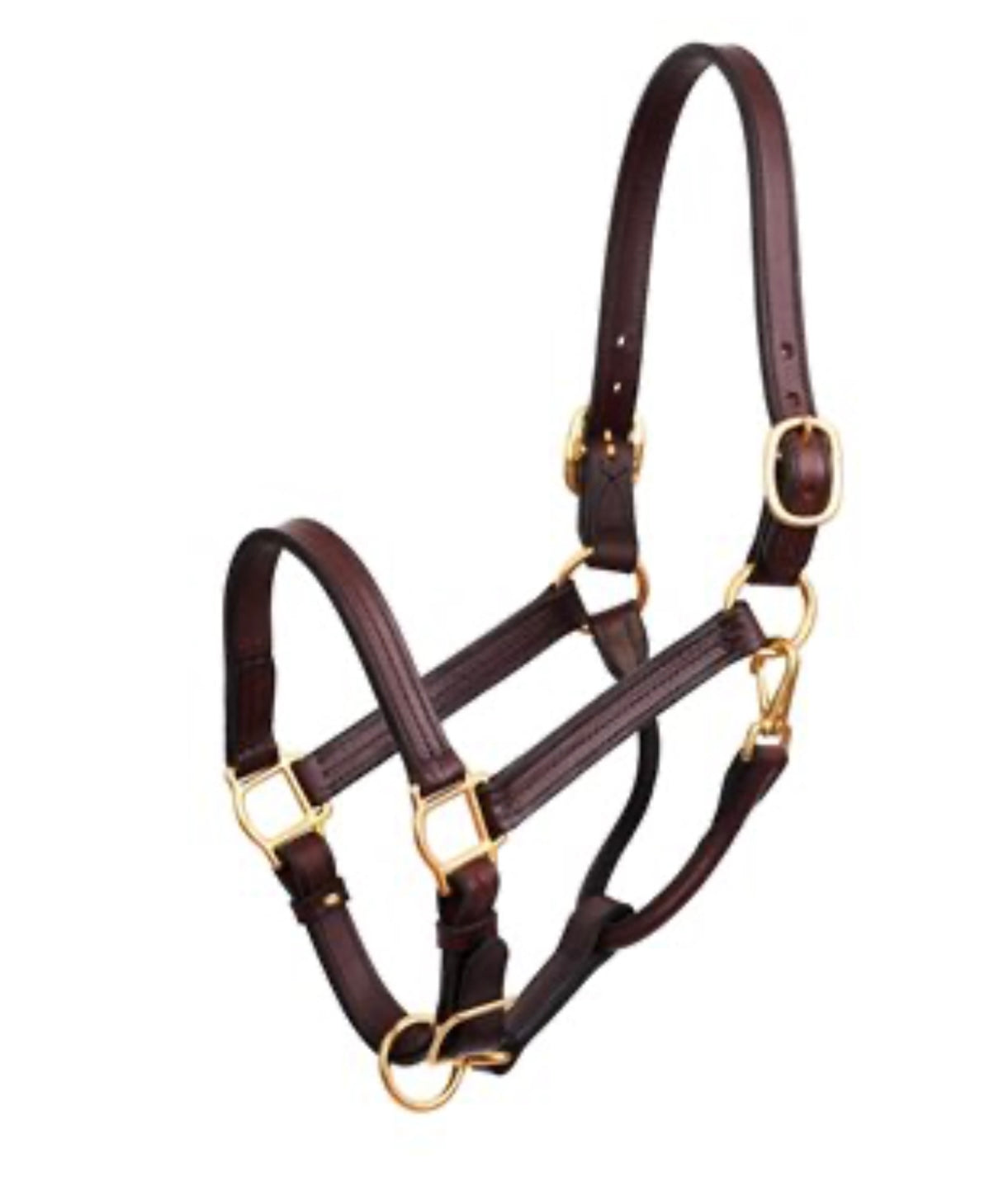 1" ENGLISH HAVANA SHOW HALTER