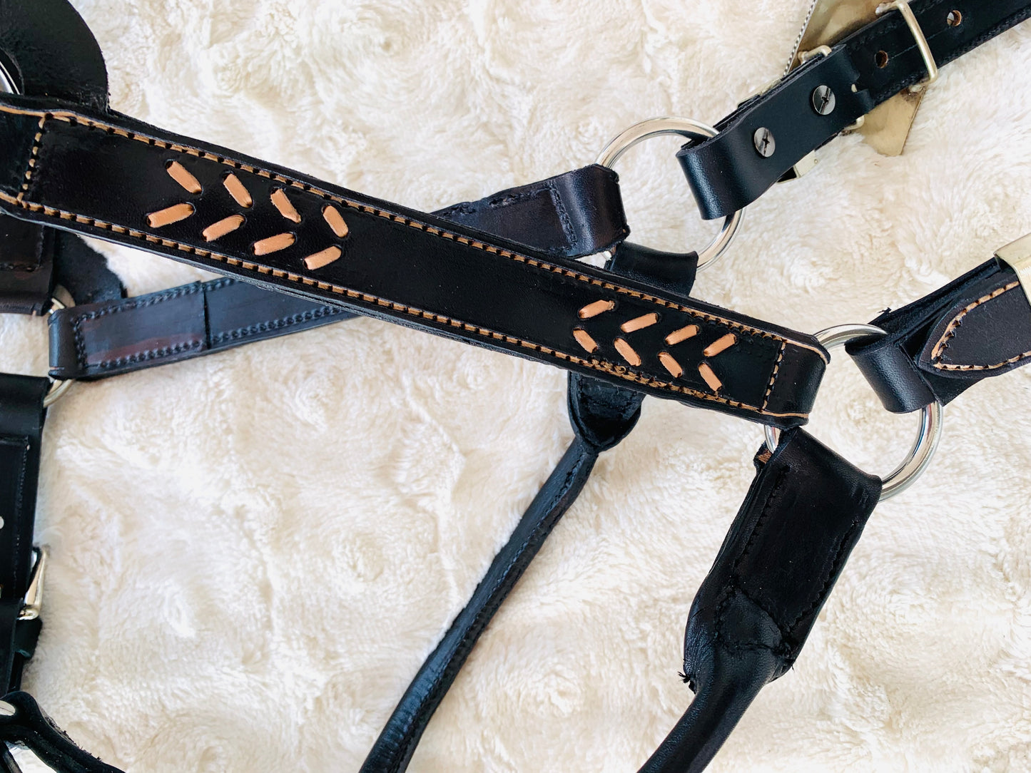 Fairytail Leather Co Black and Tan Laced Halter