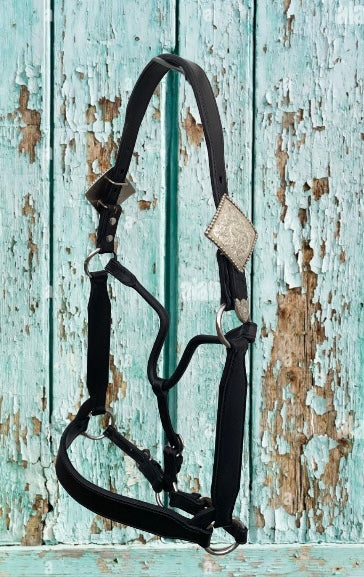 Black Horse Size Congress Cut Halter with Sterling Silver Buckles