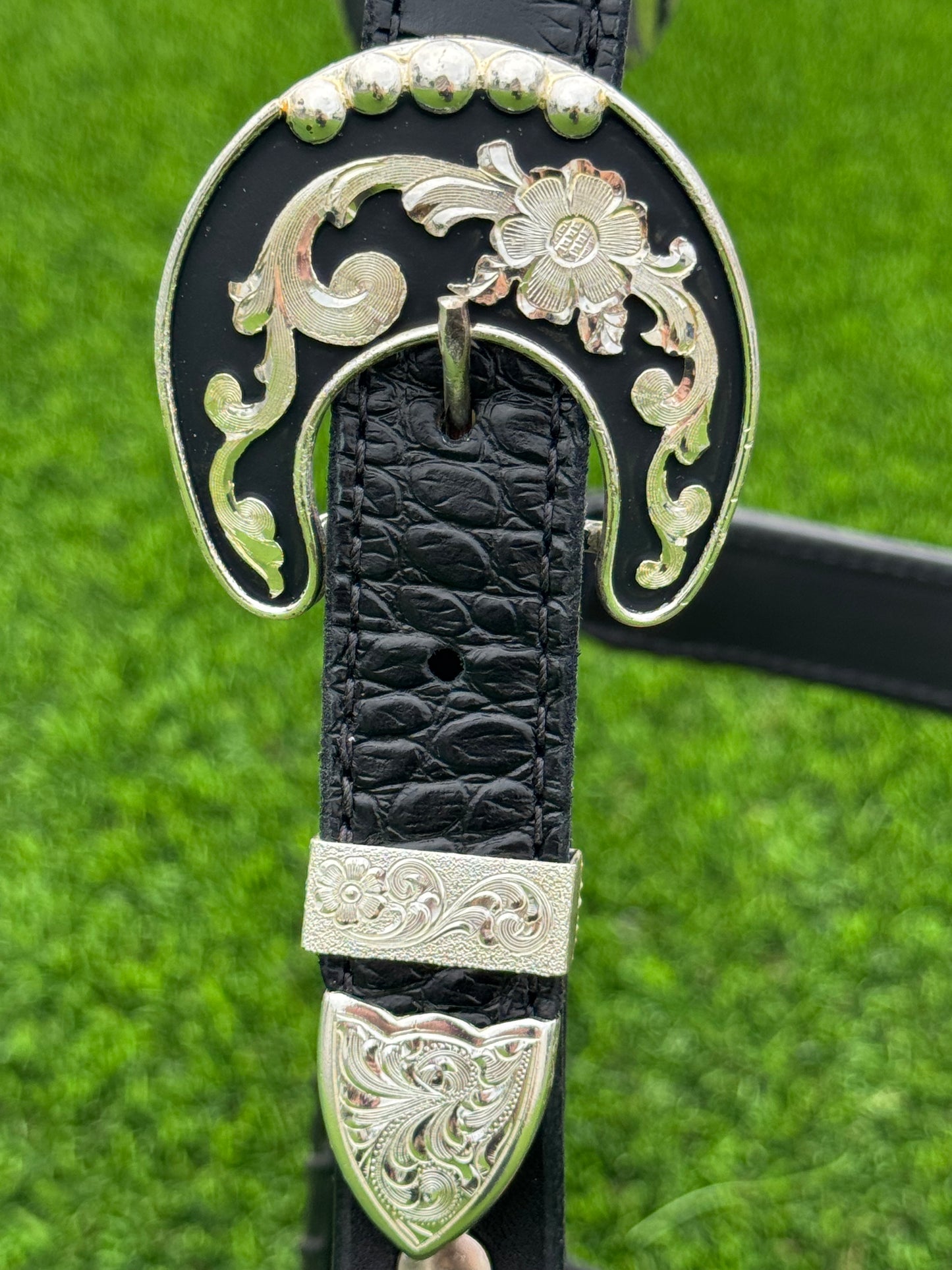 Black Cob/2YO Size Crocodile Embossed Halter