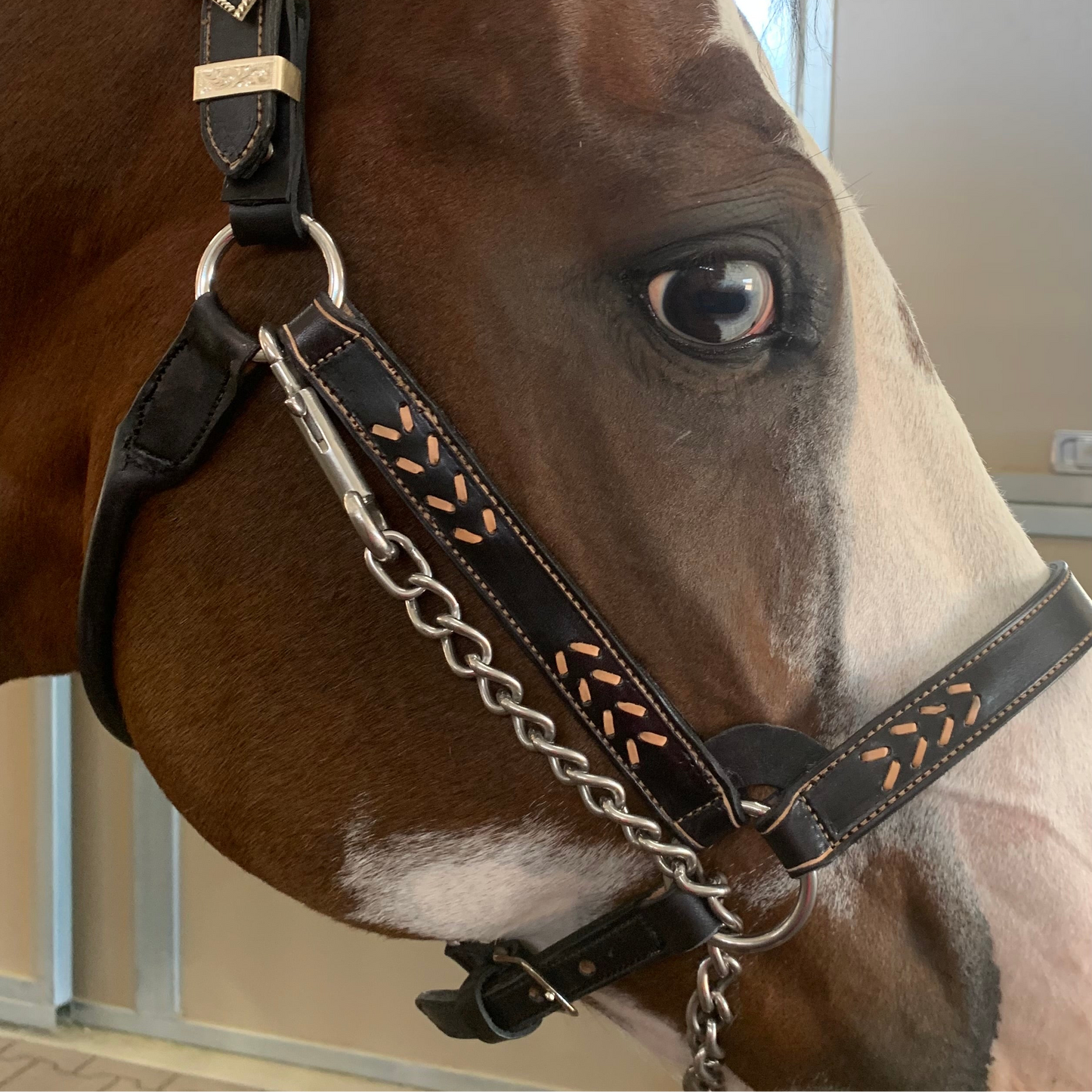 Fairytail Leather Co Black and Tan Laced Halter