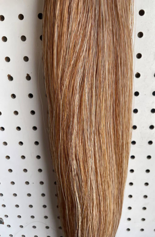 Flaxen Sorrel Show Tail Extension