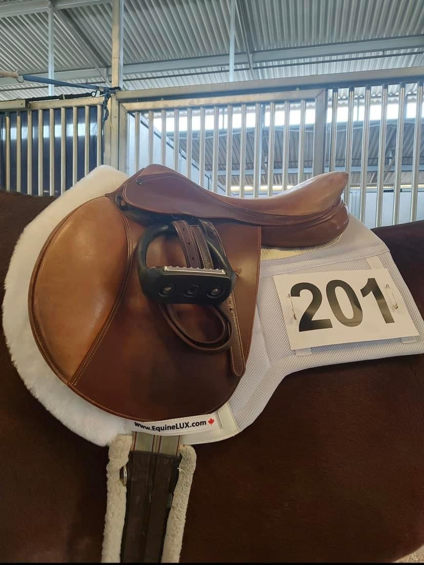 EquineLUX Luxury Competition Number™ Countoured Saddle Pad, Shimmable