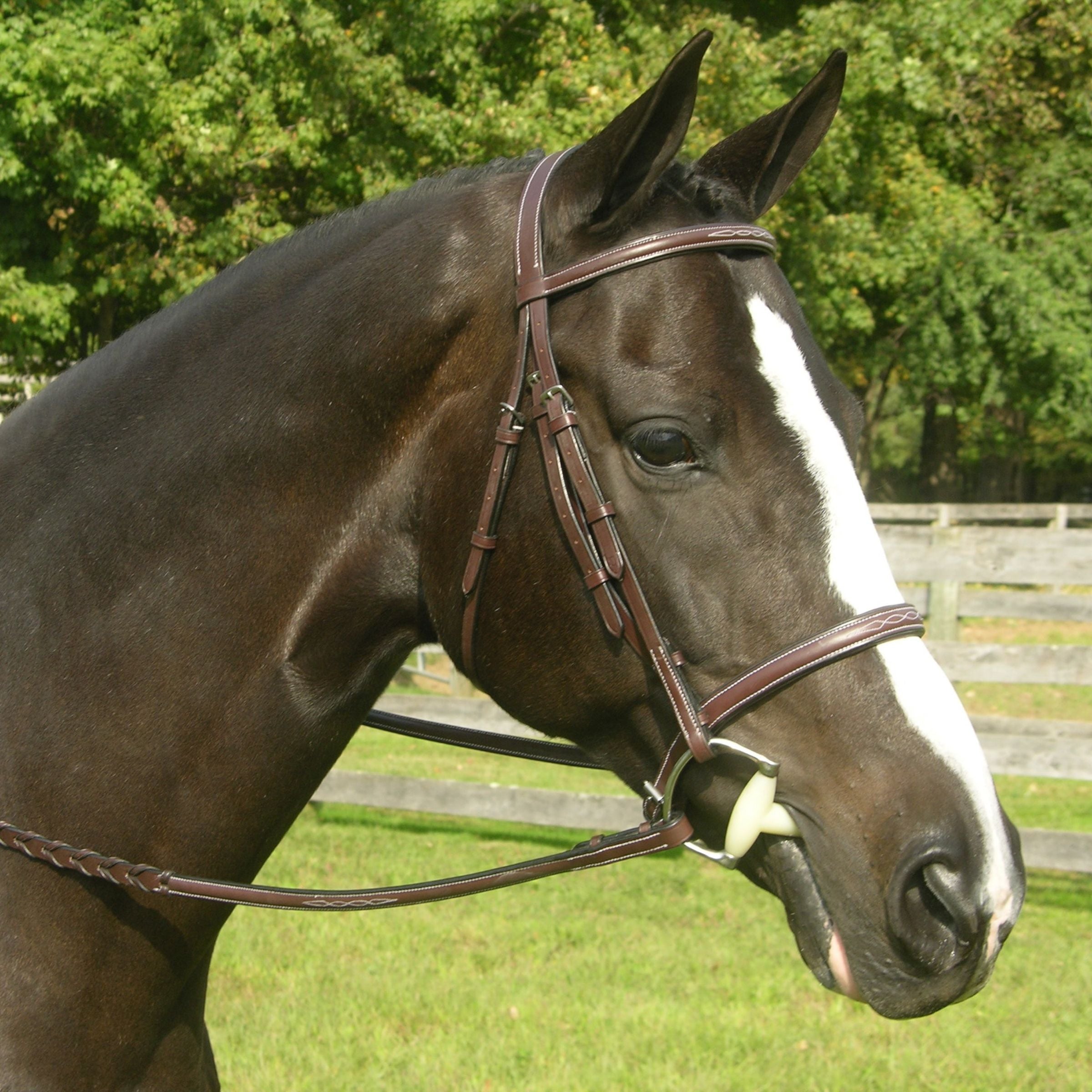 thumbnail image 2 of Zaldi Spanish Leather Bridle With Handmade Mosquero 2 of 13