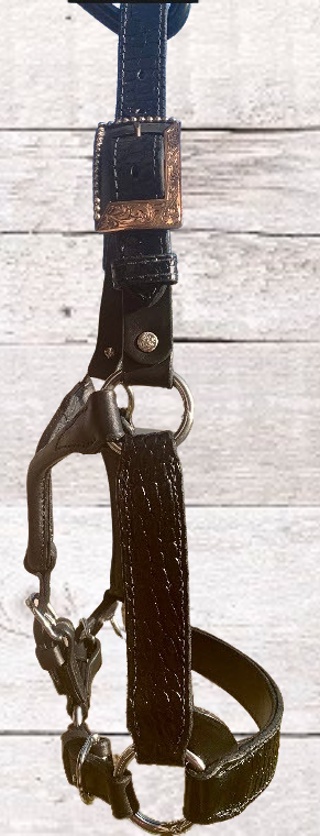 Black Yearling Halter with Custom Ranch Buckles