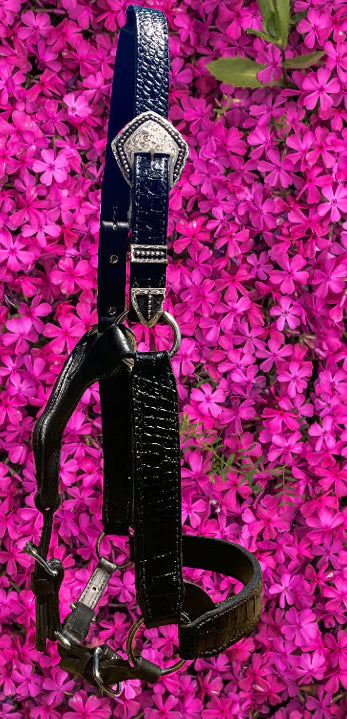 Black 2 YO Halter with Silver Overlay Buckles