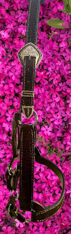 Brown Oversize Size Halter with Silver Overlay Buckles