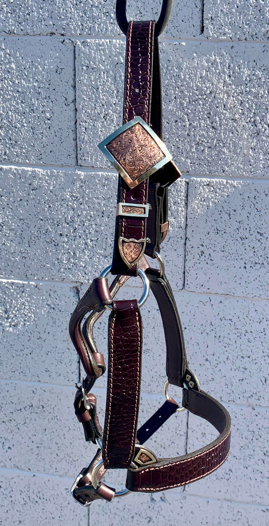 Brown Horse Size Crocodile Embossed Halter with Copper and Silver Buckles