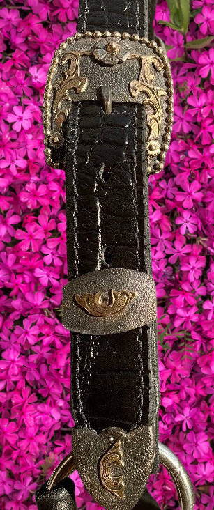 Black Yearling Halter with Ranch Buckles