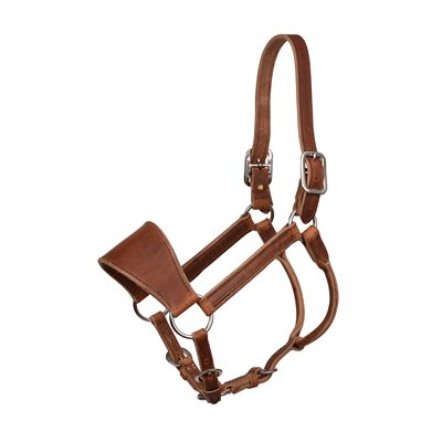Leather Ranch Halter