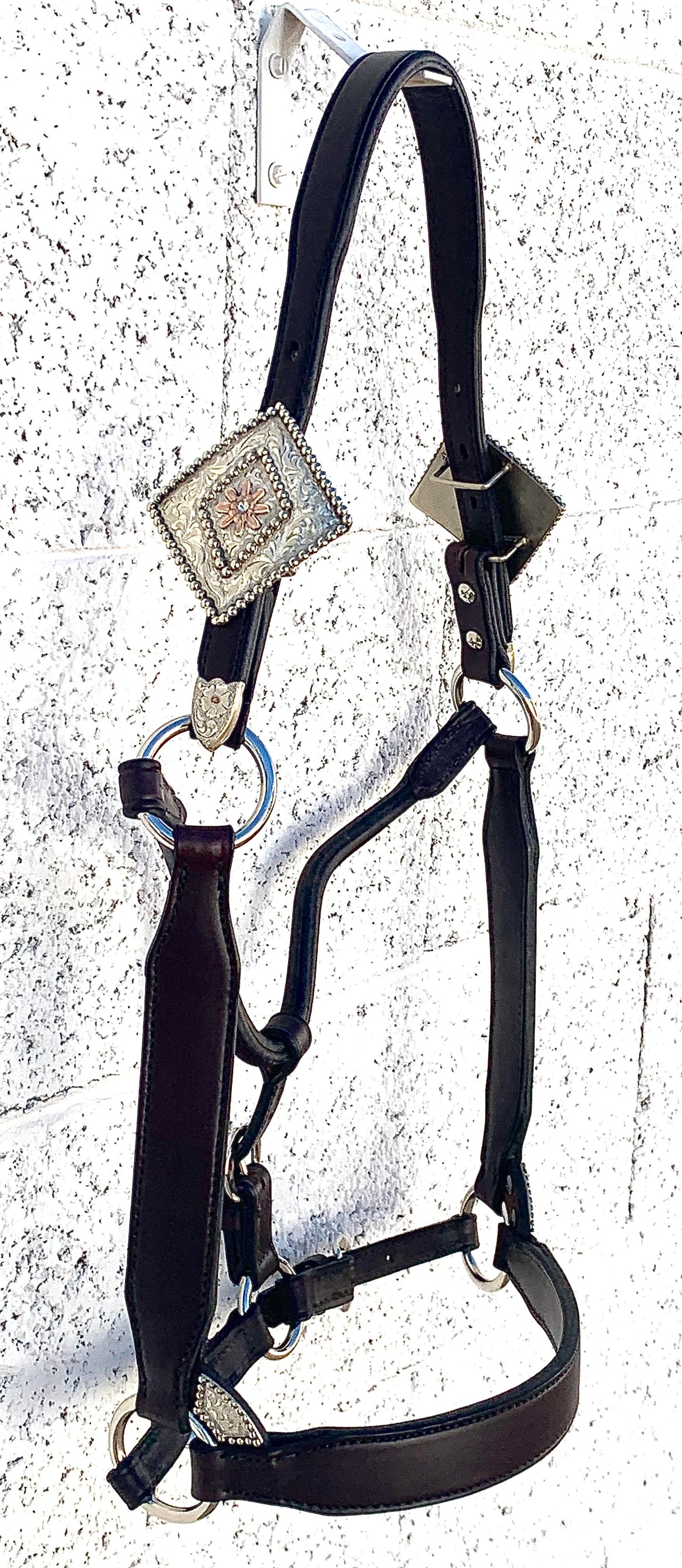 Dark Oil Horse Size Congress Cut Halter with Sterling Silver & Rose Gold Buckles