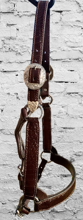 Brown Horse Size Crocodile Embossed Leather Halter with Oval Silver Overlay Buckles