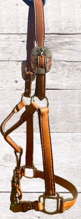 Tan Leather Halter with Matching Lead