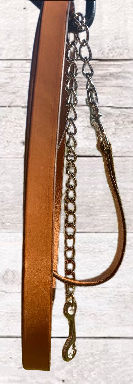 Tan Leather Halter with Matching Lead