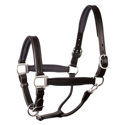 Perri's® 1" Padded Leather Halter - Custom Order Yours Here