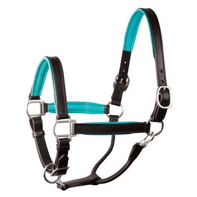 Perri's® 1" Padded Leather Halter - Custom Order Yours Here