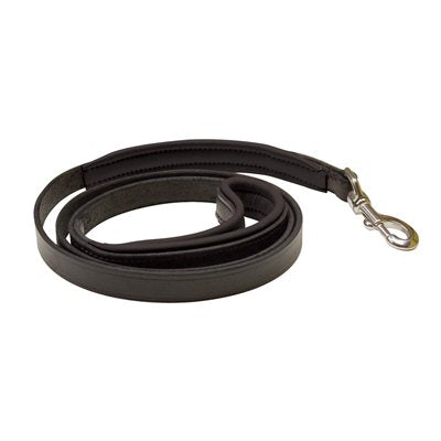 Perri's® Padded Leather Dog Leash, 5' X 1" - Multiple Color Options